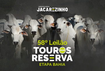 58º LEILÃO TOUROS RESERVA AGROPECUÁRIA JACAREZINHO